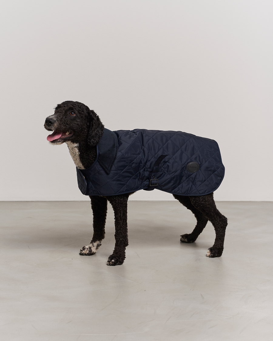 Purple barbour deals dog coat